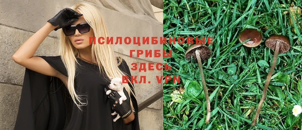 прущая мука Белокуриха