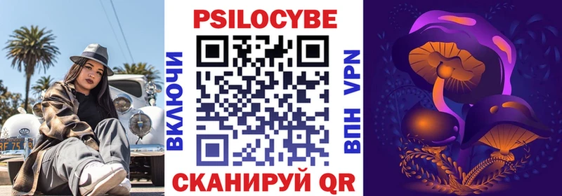 Псилоцибиновые грибы Psilocybe где можно купить наркотик блэк спрут маркетплейс Малмыж